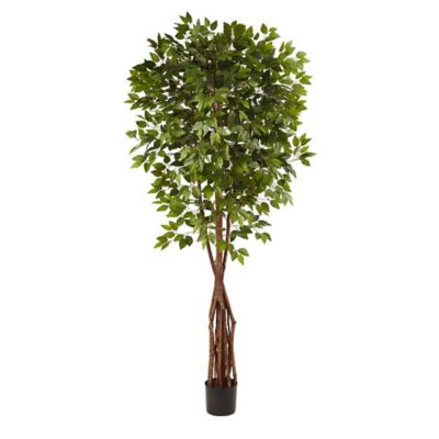 artificial ficus tree