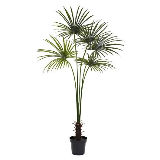 Nearly Natural 7Foot Artificial Indoor/Outdoor Fan Palm Tree Bed