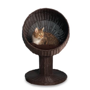 refined feline kitty ball bed