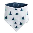 Alternate image 1 for JJ Cole 2-Pack Como Se Llama Bandana Bib Set