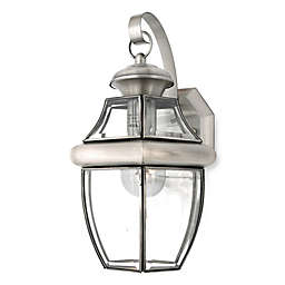 Newbury 1-Light Outdoor Wall Fixture with Pewter Finish