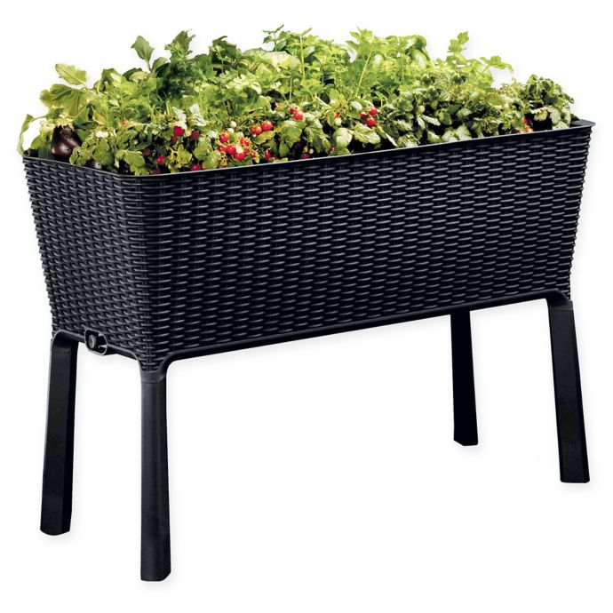 Keter Easy Grow Elevated Plastic Planter in Anthracite | Bed Bath and
