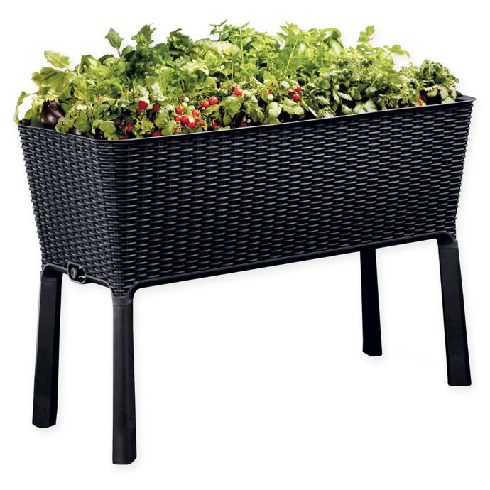 Keter Easy Grow Elevated Plastic Planter in Anthracite Bed Bath & Beyond