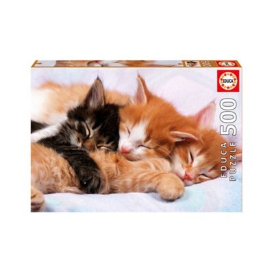 puzzle educa 500