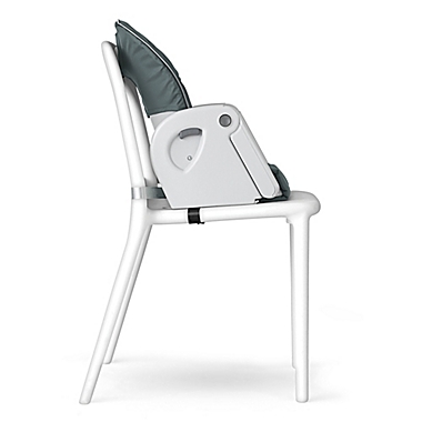 Chicco&reg; Polly&reg; Progress&trade; 5-in-1 Multi-Chair in Mineral. View a larger version of this product image.