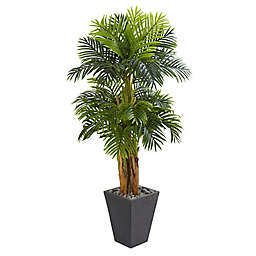 Nearly Natural 5.5-Foot Triple Areca Palm Artificial Tree in Slate Finish Planter
