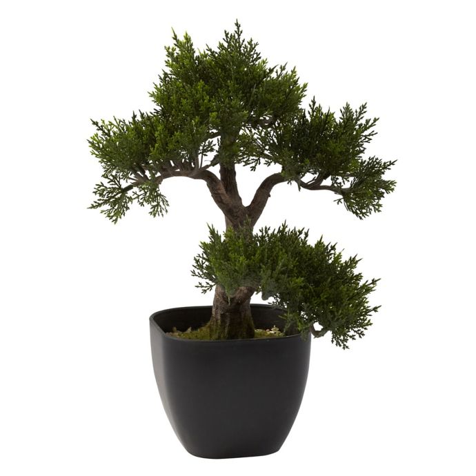 Nearly Natural   15 Inch Cedar Bonsai  in Black Tapered Pot  