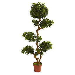 Nearly Natural 60-Inch Pittispourm UV Resistant Artificial Tree