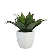 Northlight&reg; 13-Inch Lifelike Agave Plant in Weathered Ceramic Pot