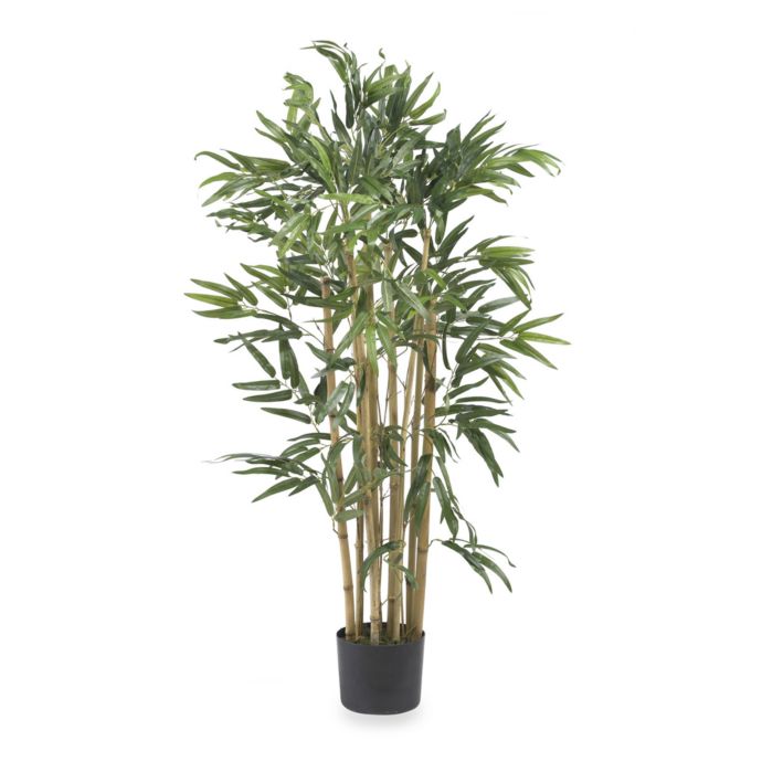 Natural 3 Foot Multi Bambusa Bamboo Silk Tree Bed Bath Beyond