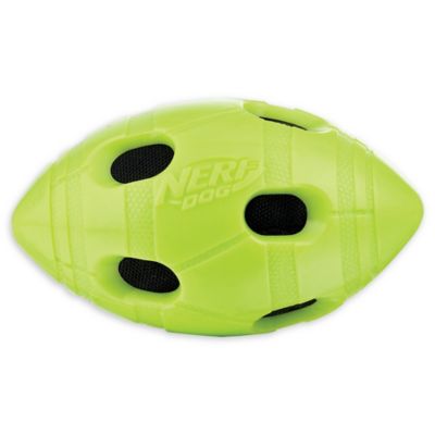 nerf rugby ball dog