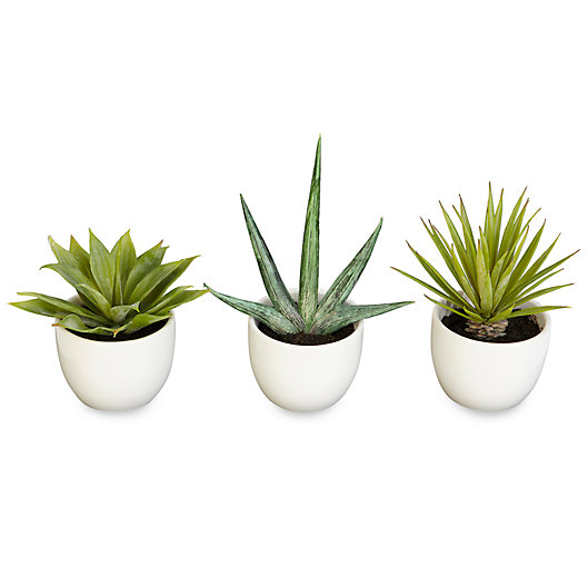 Alternate image 1 for Nearly Natural Southwest Silk Agave Collection (Set of 3)