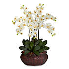 Alternate image 0 for Nearly Natural 30-Inch Large Phalaenopsis Silk Floral Arrangement in Cream