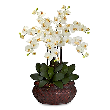 Nearly Natural 30-Inch Large Phalaenopsis Silk Floral Arrangement in Cream. View a larger version of this product image.