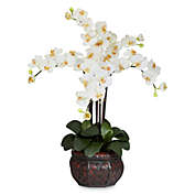 Nearly Natural 31-Inch Phalaenopsis Silk Flower Arrangement with Decorative Vase in Cream