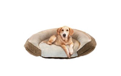 antibacterial dog beds