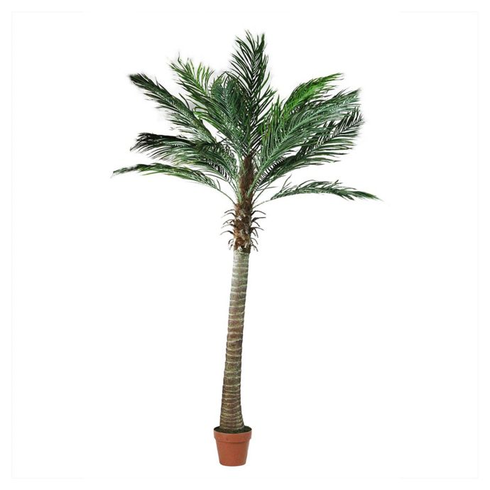 Northlight® 6-Foot Artificial Palm Tree in Decorative Brown Pot | Bed ...