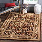 Alternate image 1 for Safavieh Courtland 4-Foot x 6-Foot Room Size Rug in Brown