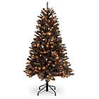 Alternate image 0 for National Tree Company 4.5&#39; North Valley Black Spruce Christmas Tree with Clear Lights