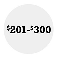 $201-$300