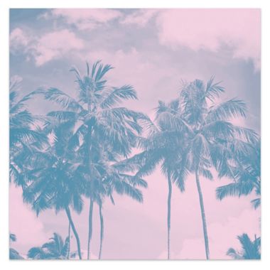 Hazy Palm 24-Inch Square Canvas Wall Art in Pink | Bed Bath and Beyond ...