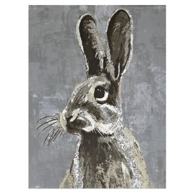 Rabbit 18-Inch x 24-Inch Canvas Wall Art. View a larger version of this product image.