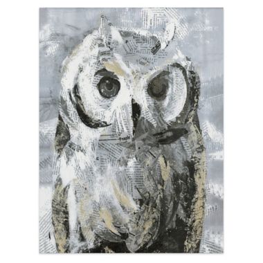 Owl 18-Inch x 24-Inch Canvas Wall Art. View a larger version of this product image.