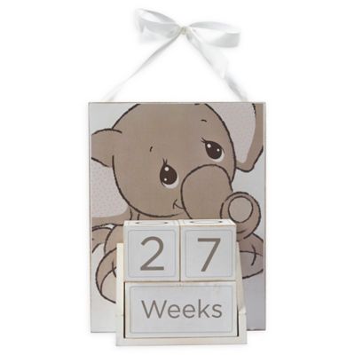 buy buy baby milestone blocks