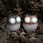 Alternate image 1 for Pure Garden Solar LED Light Owl Statues (Set of 2)