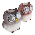 Alternate image 2 for Pure Garden Solar LED Light Owl Statues (Set of 2)