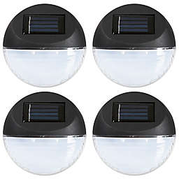 Pure Garden 4-Count LED Solar Lights in Black