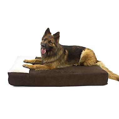 Carolina Pet Plus-Size Lounger Pet Bed. View a larger version of this product image.