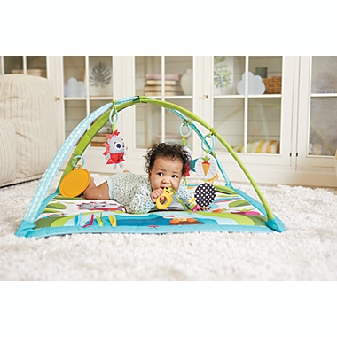 Tiny Love&reg; Gymini&reg; Sunny Day Activity Gym. View a larger version of this product image.