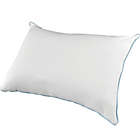 Alternate image 1 for Tempur-Pedic&reg; ProCool King Pillow Protector