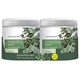 Smells Begone® 2-Pack 15 oz. Eucalyptus Mint Odor Absorbing Gel