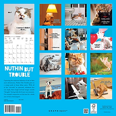 Graphique&reg; de France Nothin But Trouble 2021 Mini Wall Calendar. View a larger version of this product image.