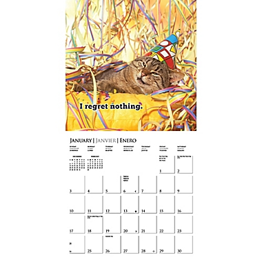 Graphique&reg; de France Nothin But Trouble 2021 Mini Wall Calendar. View a larger version of this product image.