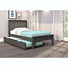 Alternate image 0 for Contempo Platform Bed with Trundle