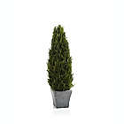 Alternate image 0 for Bee &amp; Willow&trade; 20-Inch Cypress Tree