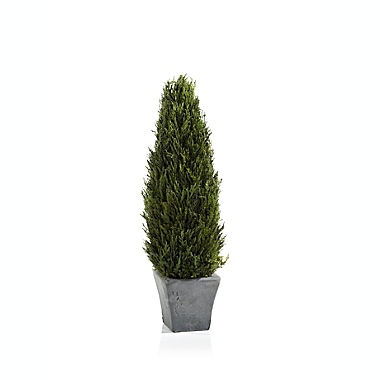 Bee &amp; Willow&trade; 20-Inch Cypress Tree. View a larger version of this product image.