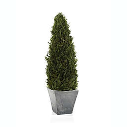 Bee & Willow™ Home Cypress Tree