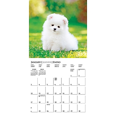 Graphique&reg; de France Puppy Love 2021 Wall Calendar. View a larger version of this product image.