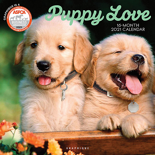 Alternate image 1 for Graphique® de France Puppy Love 2021 Wall Calendar
