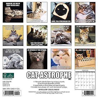 Catastrophe 2021 18-Month Wall Calendar. View a larger version of this product image.