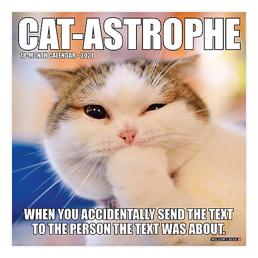 Alternate image 1 for Catastrophe 2021 18-Month Wall Calendar