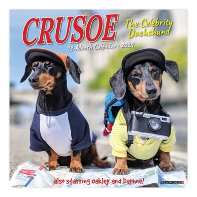 crusoe track pants