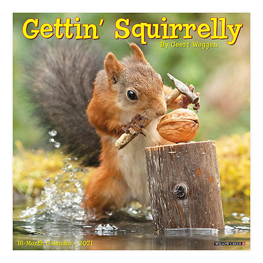 Alternate image 1 for Gettin' Squirrelly 2021 18-Month Wall Calendar