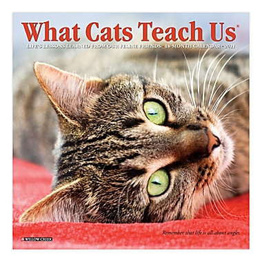 What Cats Teach Us 2021 18-Month Mini Wall Calendar | Bed Bath Beyond