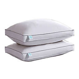 Martha Stewart 2-Pack Feather & Down Standard/Queen Pillows in White