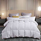 Alternate image 0 for Martha Stewart White Feather and Down Comforter